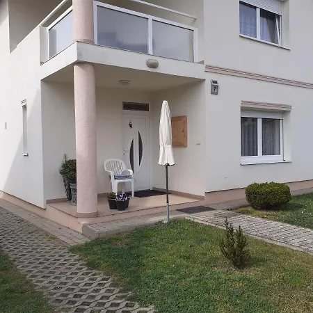 Проживание в семье Venus Хевиз