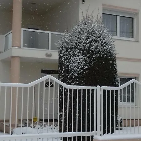 Проживание в семье Venus *