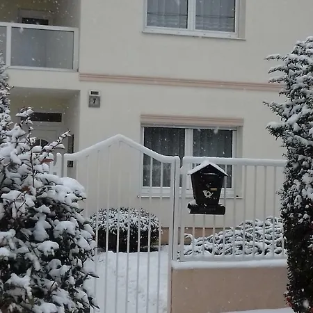 Проживание в семье Venus Хевиз