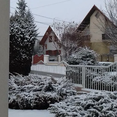 Проживание в семье Venus