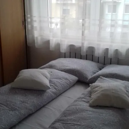 Проживание в семье Venus *