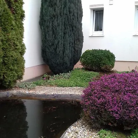 Venus Проживание в семье *