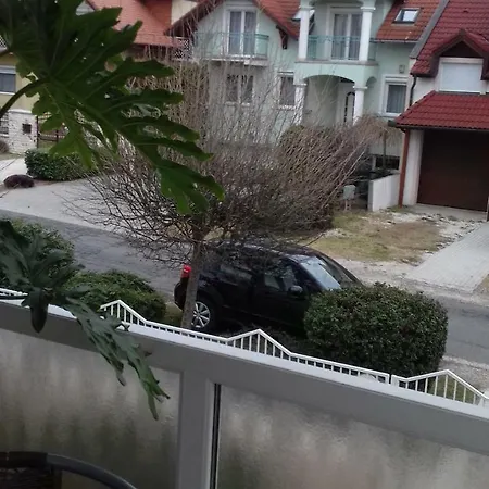 Venus Проживание в семье