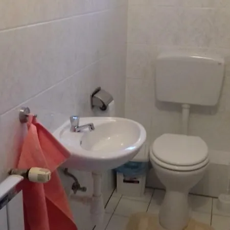 Проживание в семье Venus Хевиз