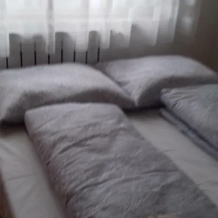 Проживание в семье Venus *