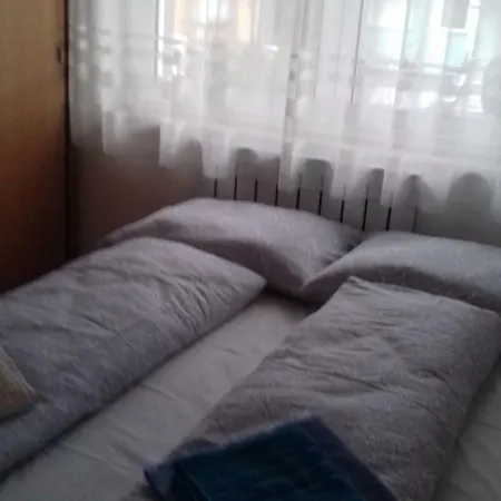 Проживание в семье Venus *