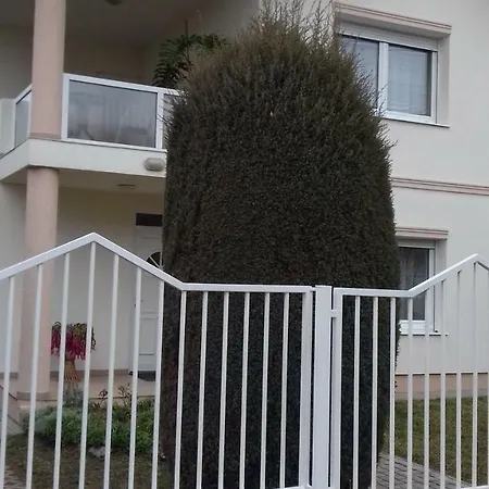 Проживание в семье Venus Хевиз