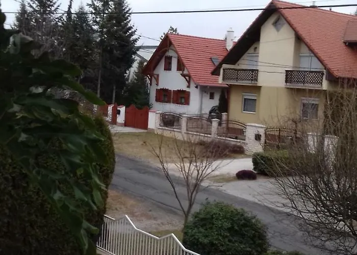 Venus ホームステイ