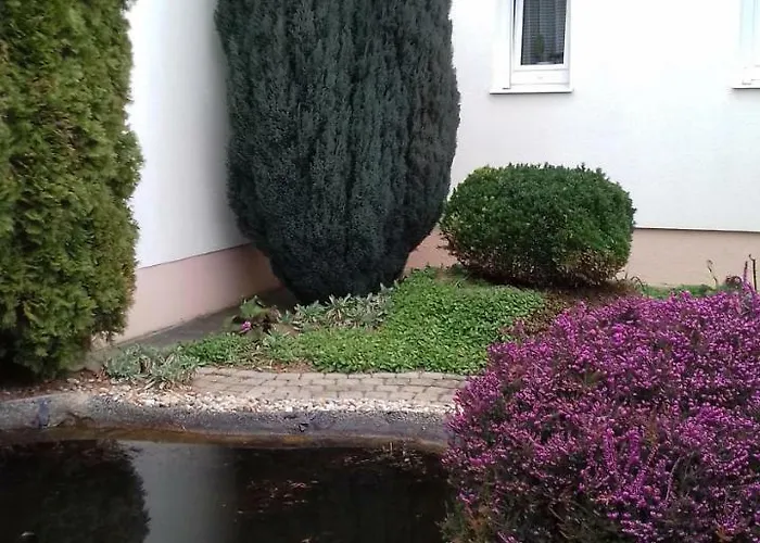 Venus Quarto em Acomodações Particulares *