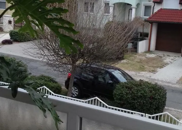 Venus ホームステイ