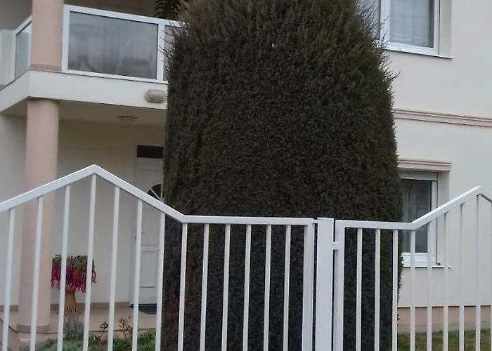 ホームステイ Venus ヘーヴィーズ