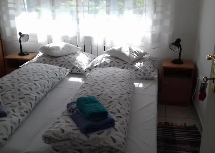 Venus ホームステイ *